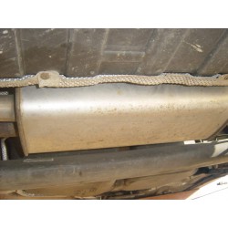 Exhaust system with Cat 