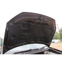 Bonnet - Polo mk7 Black 