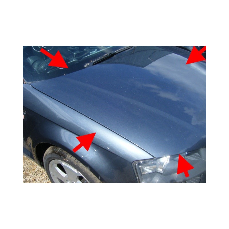 Wing - Silver - Driver - Passenger - 8P