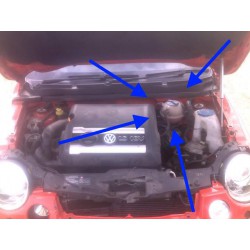 Radiator Water Bottle