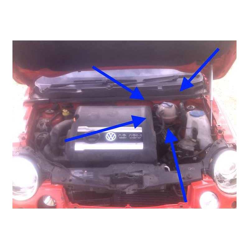 Radiator Water Bottle