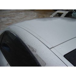 Roof moulding passenger (TT - silver)